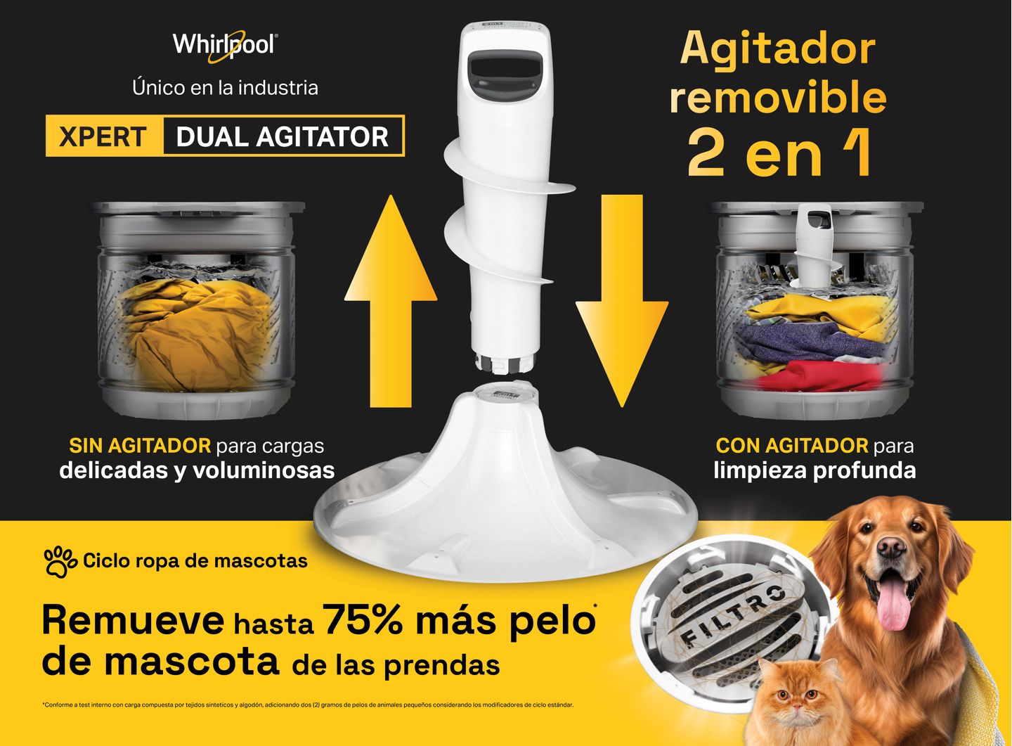 productDescription